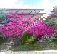 Crest Motor Inn - Nambucca Heads Accommodation