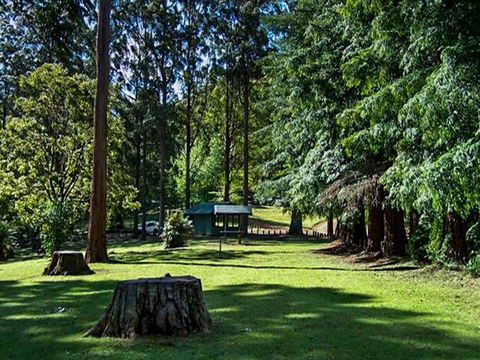 Dingo Tops Campground - Nambucca Heads Accommodation 0