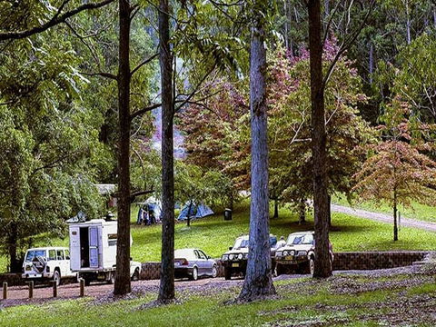 Dingo Tops Campground - Nambucca Heads Accommodation 2