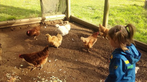 Emerald Park Holiday Farm - Nambucca Heads Accommodation 2