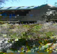 Melaleuca - Eco and Pet Friendly  Harbor Point Cabins - Nambucca Heads Accommodation