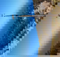 The Grass Tree Coastal Retreat Kangaroo Island - Nambucca Heads Accommodation