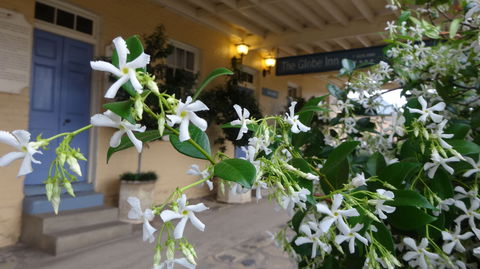 The Globe Inn - Nambucca Heads Accommodation 1