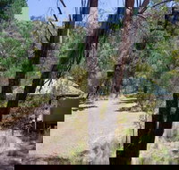 The Barracks campground - Nambucca Heads Accommodation