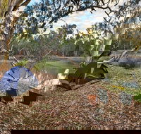 Woolpress Bend campground - Nambucca Heads Accommodation