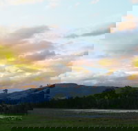 Back Forest Retreat - Nambucca Heads Accommodation