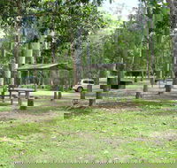 Broadwater camping area Abergowrie State Forest - Nambucca Heads Accommodation