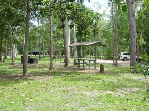 Broadwater Camping Area, Abergowrie State Forest - Nambucca Heads Accommodation 0