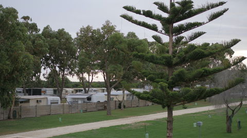 Cape Jaffa Caravan Park - Nambucca Heads Accommodation 2
