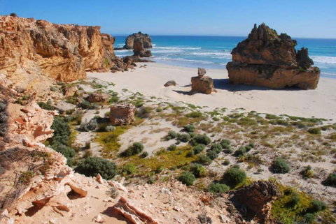 Nal-a-wort Campground - Canunda National Park - Nambucca Heads Accommodation 1