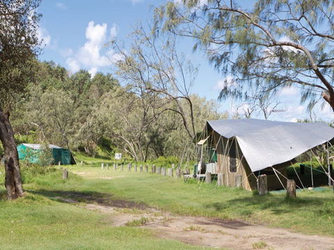 Pebbly Beach Campground - Yuraygir National Park - Nambucca Heads Accommodation 0