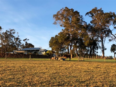 Great Southern Outback Tours & Accommodation - Nambucca Heads Accommodation 2
