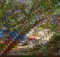 The African Village - by Clouds - Nambucca Heads Accommodation
