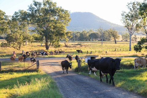 Tommerups Dairy Farmstay - Nambucca Heads Accommodation 0