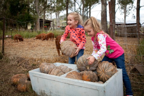 Tommerups Dairy Farmstay - Nambucca Heads Accommodation 2