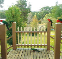 Warrumbungles Mountain Motel - Nambucca Heads Accommodation