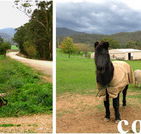 Emerald Park Holiday Farm - Nambucca Heads Accommodation