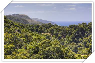 Beachcomber Motel And Apartments - Nambucca Heads Accommodation 3