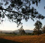 Cann River Rainforest Caravan Park - Nambucca Heads Accommodation