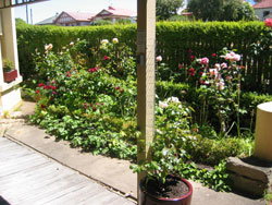 Girt By Sea - Nambucca Heads Accommodation 5