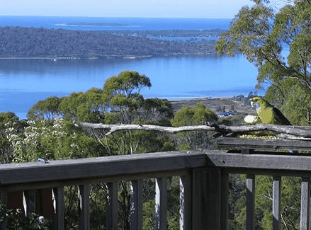 Bed in the Treetops - Nambucca Heads Accommodation