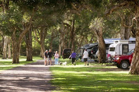 Beachfront Holiday Park - Nambucca Heads Accommodation 0
