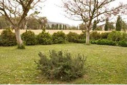 Claremont Cottage - Nambucca Heads Accommodation 2