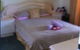 Lake Illawarra Bed & Breakfast - thumb 2