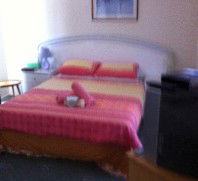 Lake Illawarra Bed & Breakfast - Nambucca Heads Accommodation 4