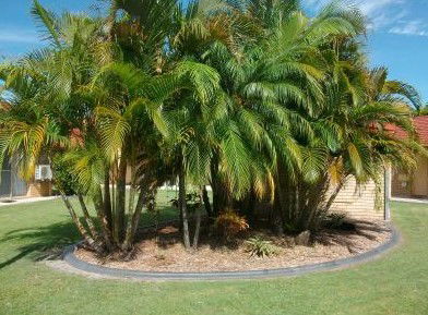Yamba Motor Inn - Nambucca Heads Accommodation 5