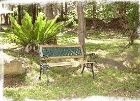 Lorikeet Cottage - Nambucca Heads Accommodation 3