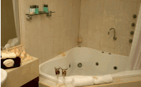 Club Motor Inn - Nambucca Heads Accommodation 1