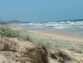 Beachcomber Peregian Beach - Nambucca Heads Accommodation 4