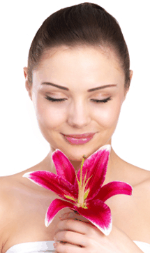 Sorbet Day Spa - Nambucca Heads Accommodation