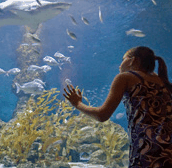 The Aquarium of Western Australia - Nambucca Heads Accommodation
