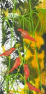Jahroc Mill Gallery - Nambucca Heads Accommodation 3