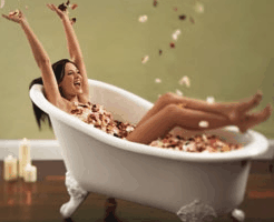 Toowong Village - Nambucca Heads Accommodation