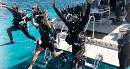 Snorkel Safari Brisbane - Nambucca Heads Accommodation