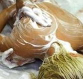Exotique Massage - Nambucca Heads Accommodation