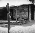 The Baldessin Press - Nambucca Heads Accommodation