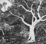 Tacit Contemporary Art - Nambucca Heads Accommodation