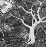 Tacit Contemporary Art - Nambucca Heads Accommodation 0