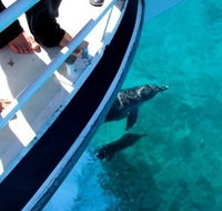 Pelican Charters - Nambucca Heads Accommodation