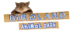 Birdland Animal Park - Nambucca Heads Accommodation