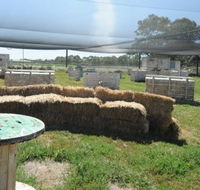 We Are Paintball - Nambucca Heads Accommodation