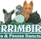 Wirrimbirra Sanctuary - Nambucca Heads Accommodation