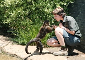 National Zoo & Aquarium - Nambucca Heads Accommodation 1