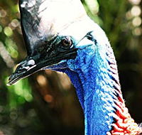 Alma Park Zoo - Nambucca Heads Accommodation