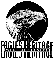 Eagles Heritage - Nambucca Heads Accommodation