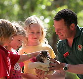 Cleland Wildlife Park - Nambucca Heads Accommodation